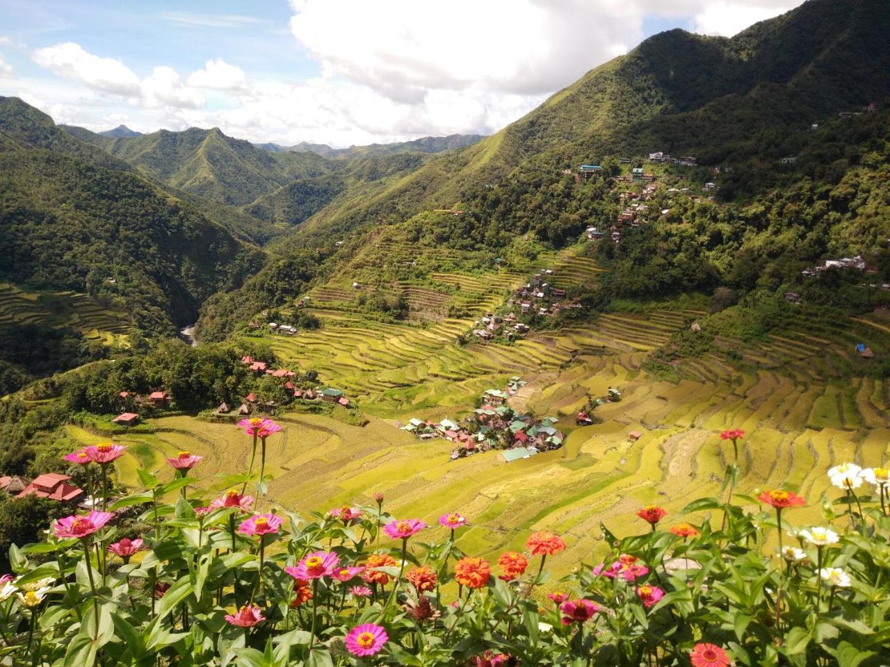 Batad View Inn And Restaurant Banaue Esterno foto